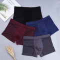 EmberWeave Luxe Briefs