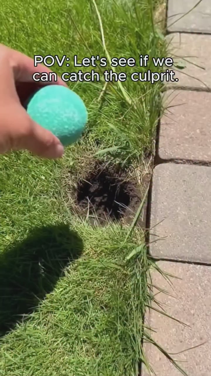 Natural Rodent Repellent Balls